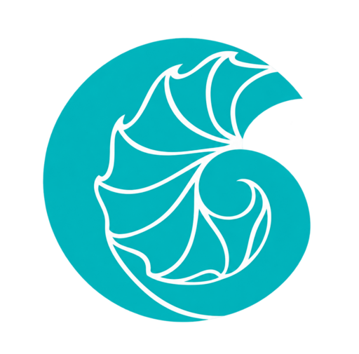 Soma Bay shell